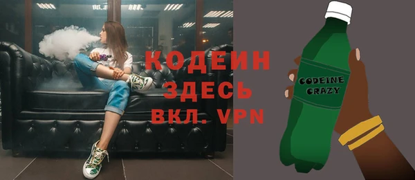 прущий лед Алзамай